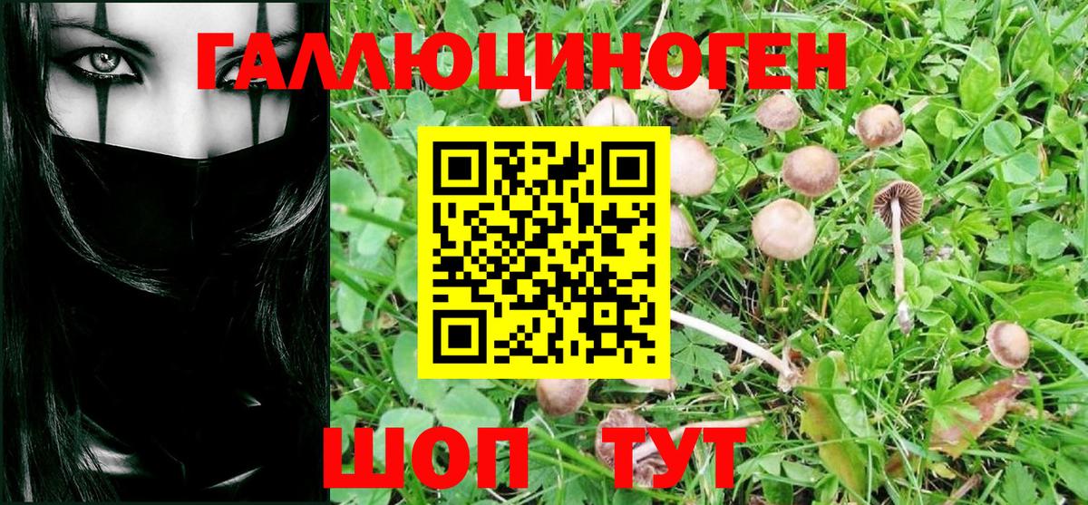 Бузулук  Псилоцибиновые грибы мицелий  Псилоцибиновые грибы MAGIC MUSHROOMS  Вход с VPN 